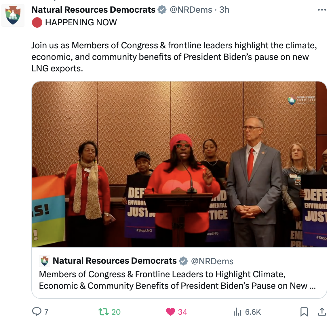 In a video on twitter, Roishetta Ozane speaks at a press conference in Washington DC with members of Congress and other frontline leaders